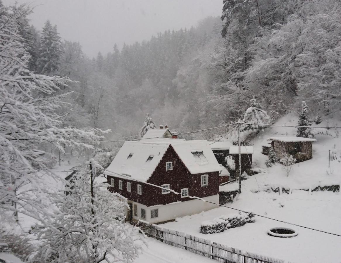 Ferienhaus Bildhauer Thiele Ottendorf  المظهر الخارجي الصورة